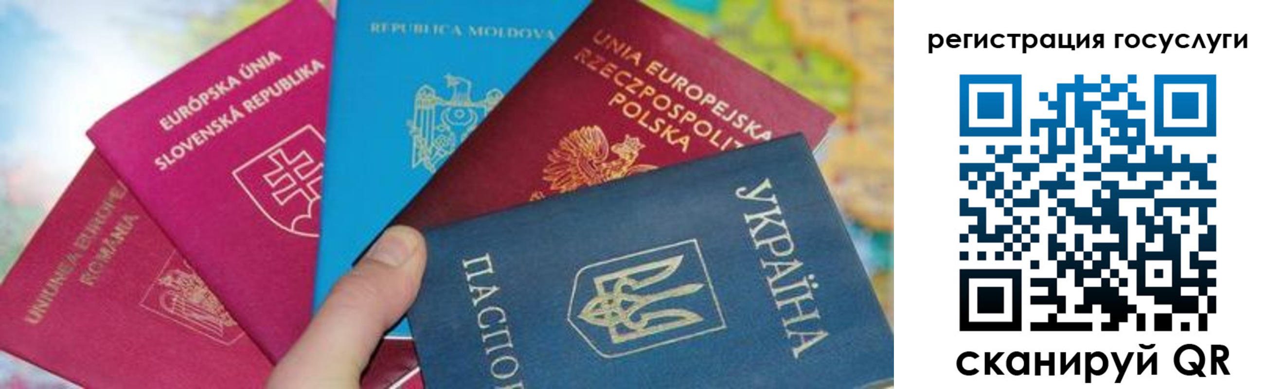 прописка гарантия в Жердевке